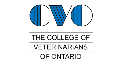 CVO Certification